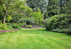 Optimiser l'expérience du jardin à Vauthiermont